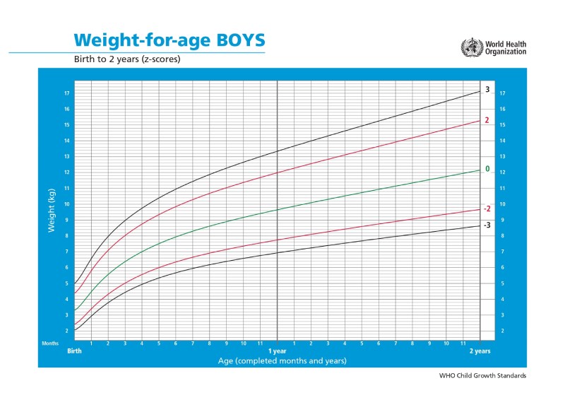 grafik pertumbuhan anak laki laki 2